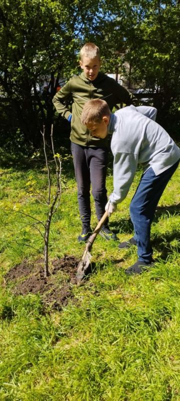 � ���������� ���������� �������������� � � ����� �13