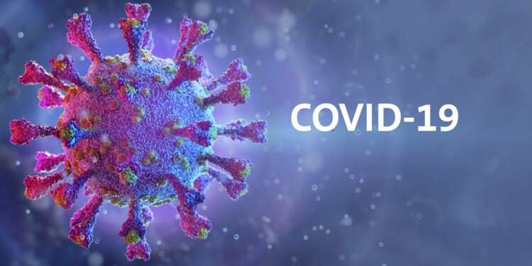 �������� �����������. ��� ���������� ������� COVID-19