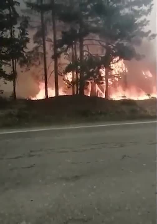 ������ � ������� ���������� � ���������� ������� ������ � ������� ������������ ������������ �������, ��������� ���������, � ���������� ������