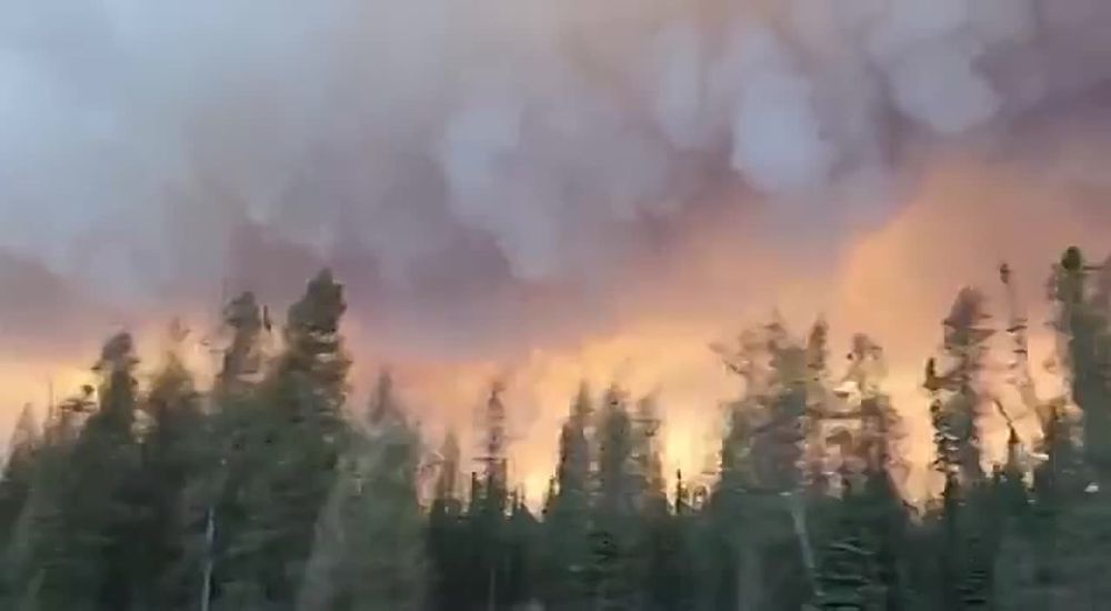 � ������ ������ ������ ������