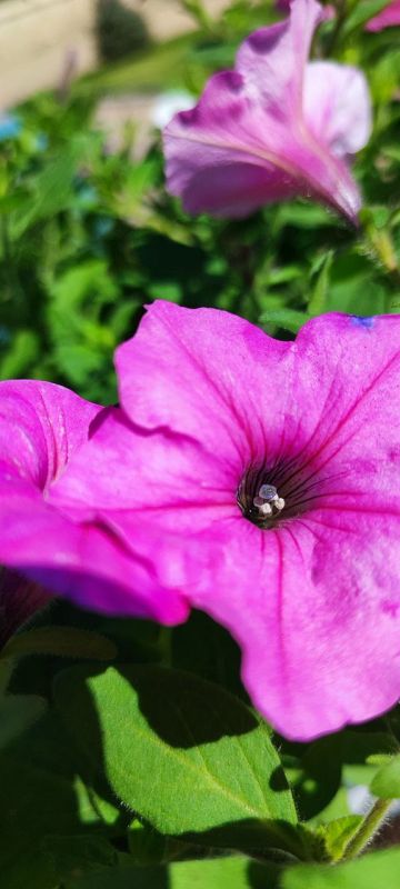 ��������� ���� ��������� � �������� �����