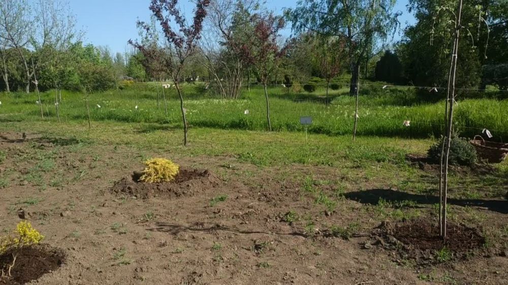 ������������� � ���������� ����������������� ���