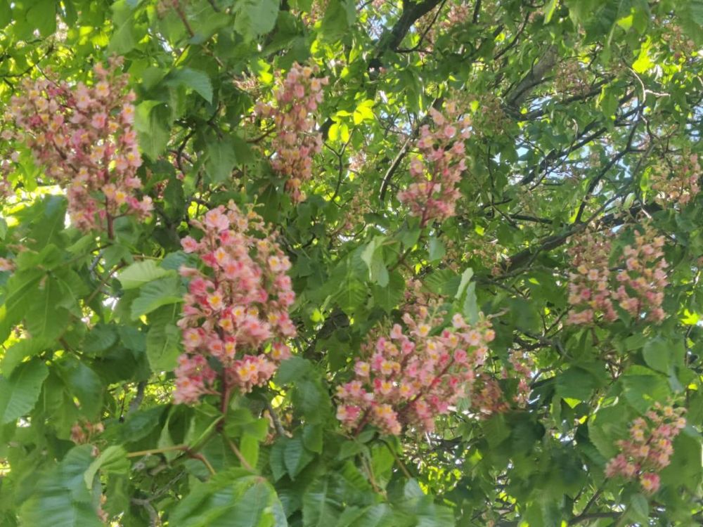 �� ���������� ����� ������� ������