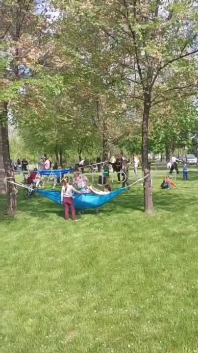 �����������. �������. �������������� ����