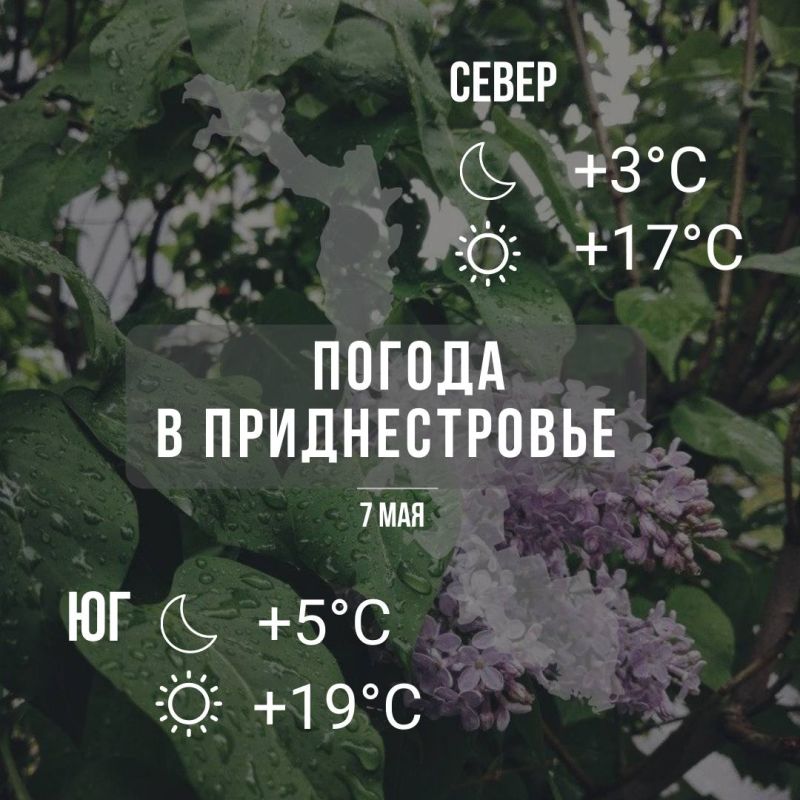 ����� ������������. ������, ���� ������ �� ����� ����������