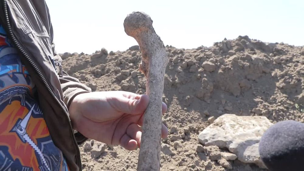 ��� ����� ������� ����: ������ �����-�� �����