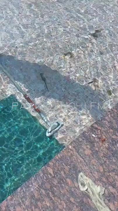 � ��� ������� �� ��� ������ � ������ ����