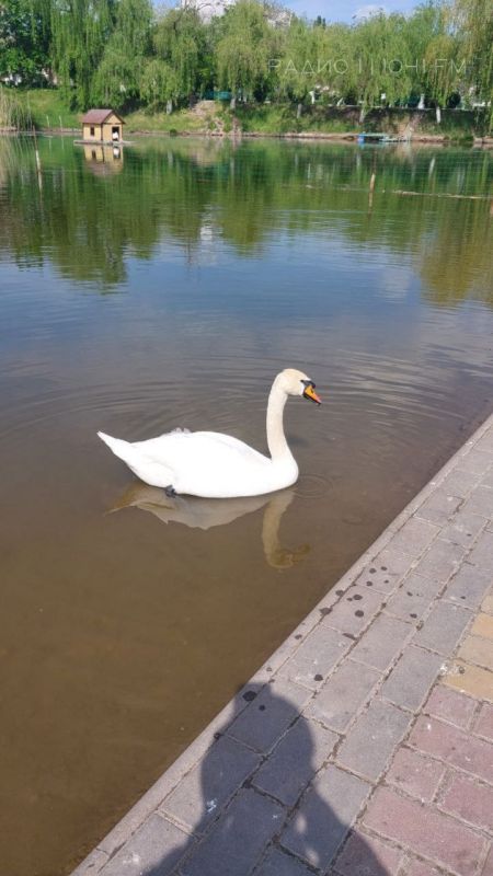 ������ ���� ������������ ���������� ��������