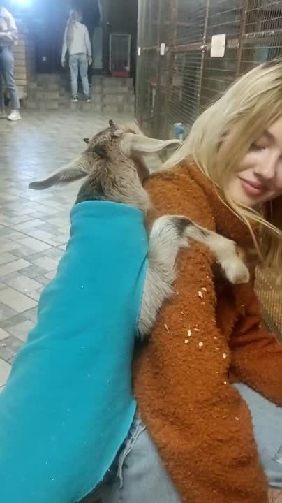 ��������� �������� ������ ����� �� ������