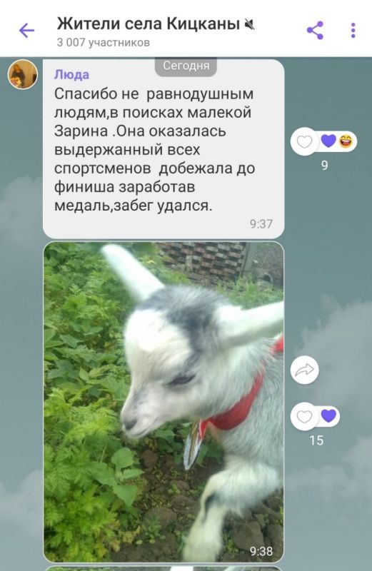 ���������� ����� �������. ���� �������� �� ������