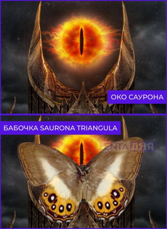 ����� ��� ������� ������� � ����� ������� � ���� ������ �� ����������� ������