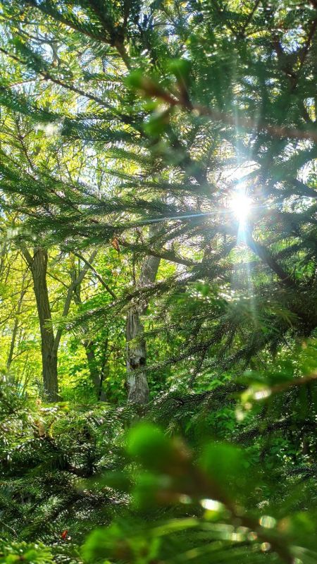 ������� ���� � �������������: �� �������� �� ������