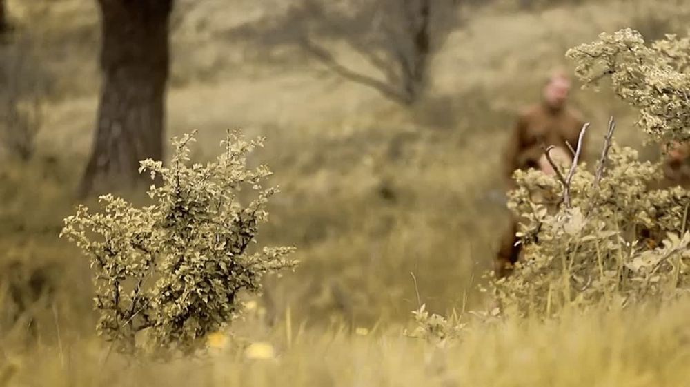 �� ��� ������ �� ����, ����� ��䅻