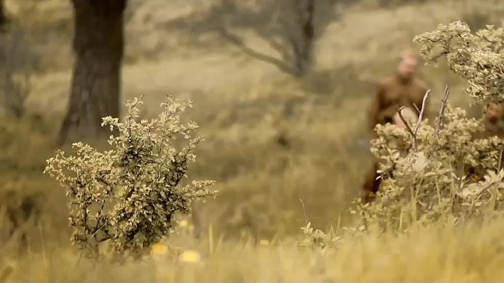 ��� ����������� ������������ �� ����� �������: �������� - ���������� �� �15, ��� ���������� - ������ 4 ������ ���� �����