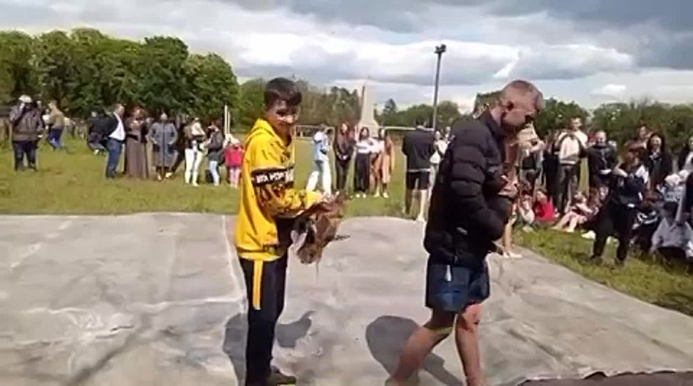 � ���� ������ ������� ���� ������ ������