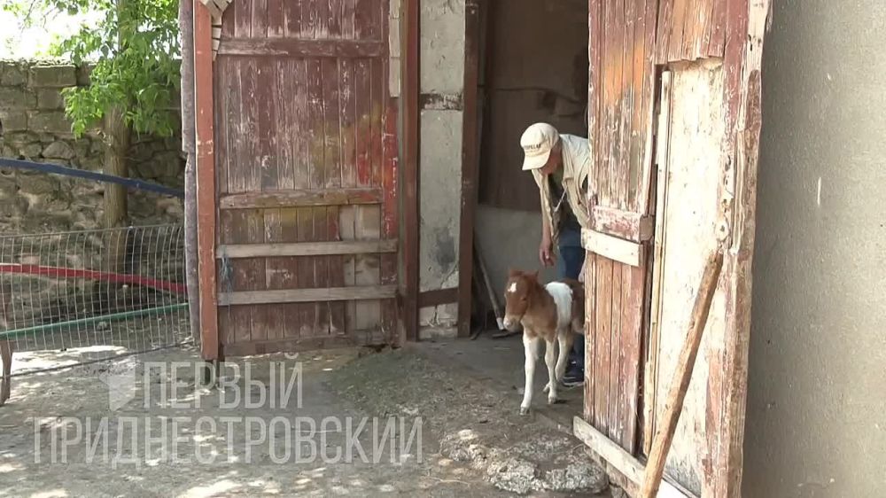 ����������. �� �������� ��������...�