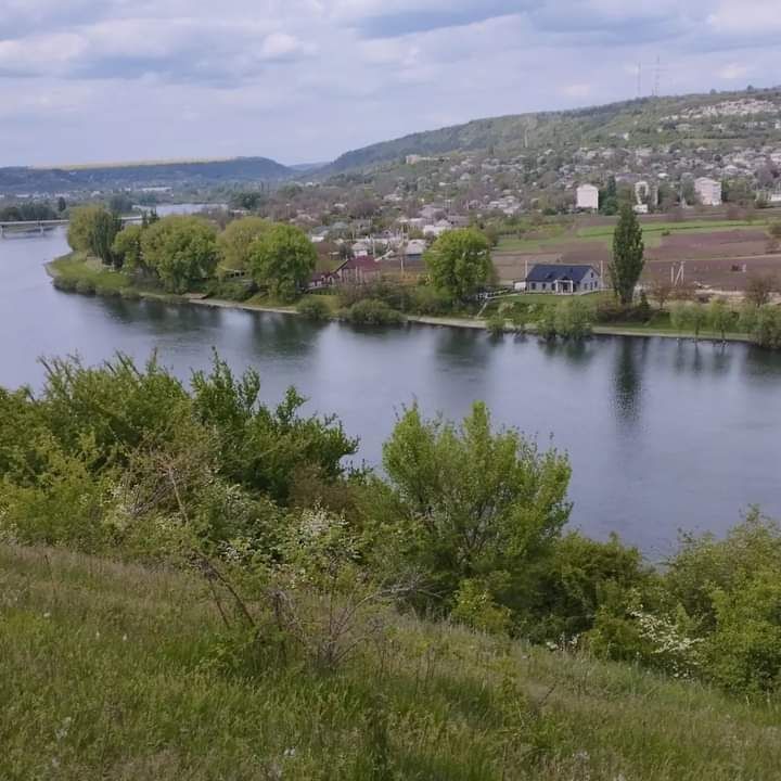 ��������������������� �������