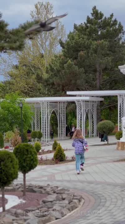 � ������������� ����� �� ���� �������� ����� ������