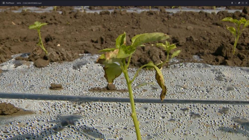 ��-�� �������� ������ ������� �� ����� ���������� ������� �������