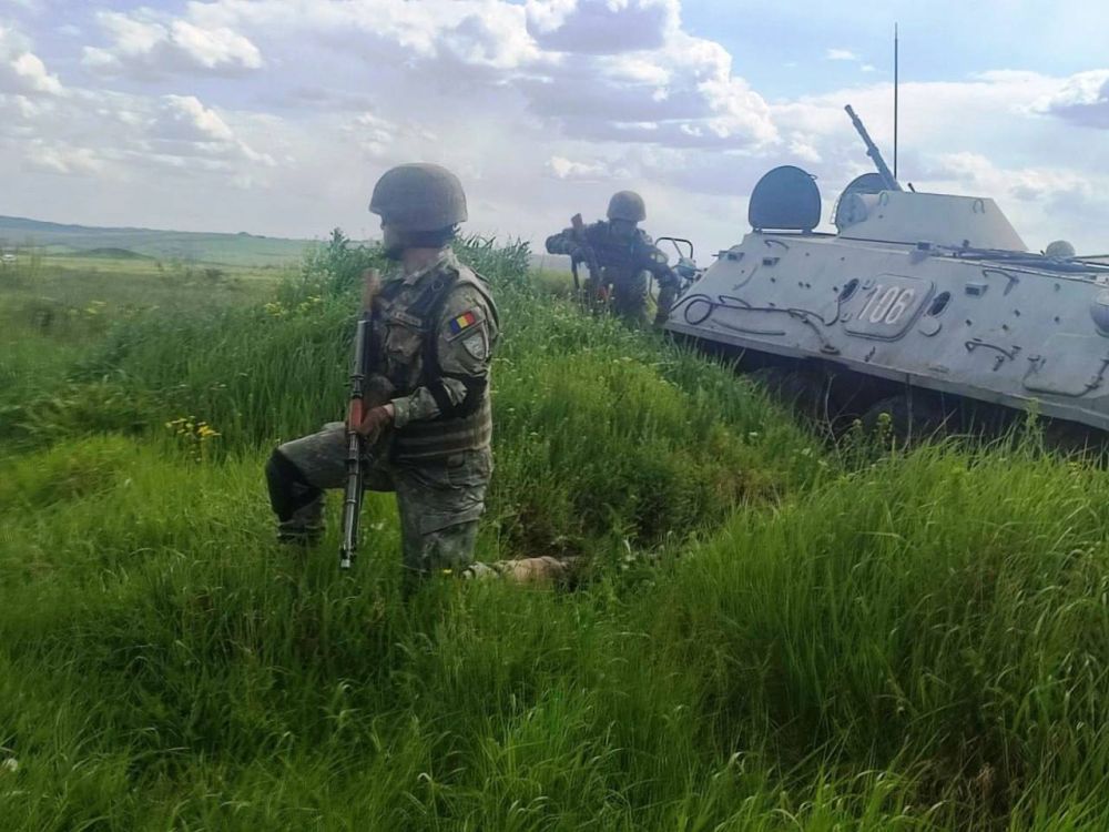 ������� ������� � ������� �������� ������������ ������, ������� �������� � ������� � 8 �� 13 ���, �������� ����������