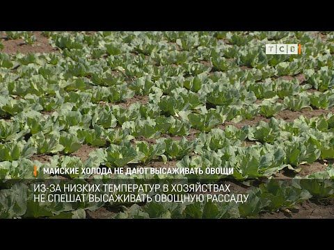 ��-�� ������ ���������� � ���������� �� ����� ���������� ������� �������. �� ������ � �����, ��� ��� ������ ��������, ������ � �� �����������