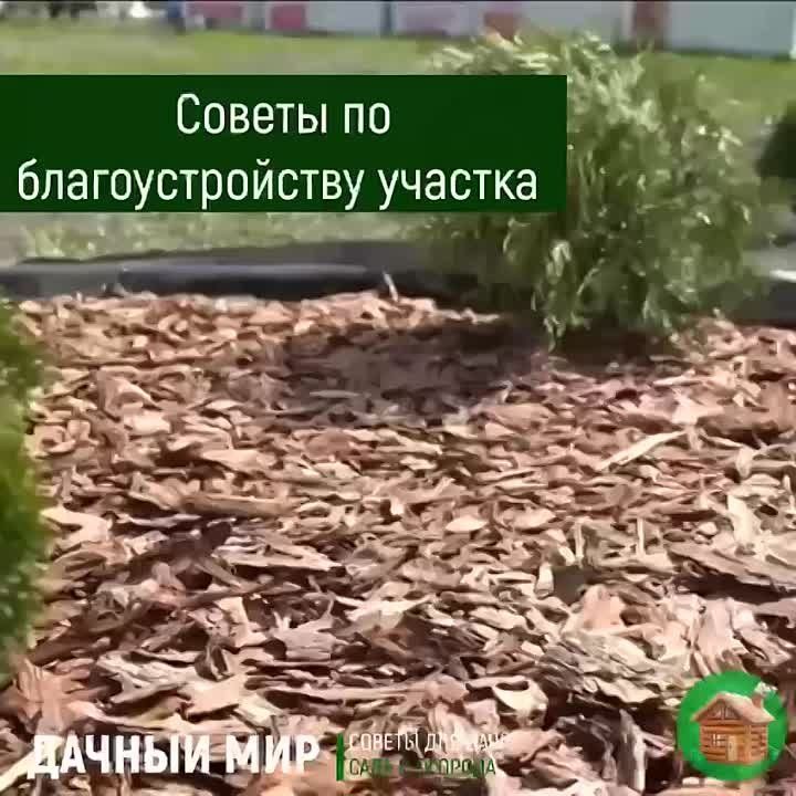 ������� � � �������� �� ����� ������, ������� � ���!