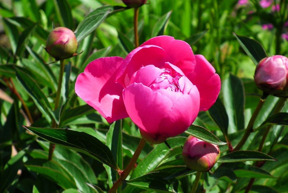 ��� �������� ������ ������ 11 ��� �������� "�������� �������", ��� � ���� ���� �������� ����� ���������� � ��������� ����