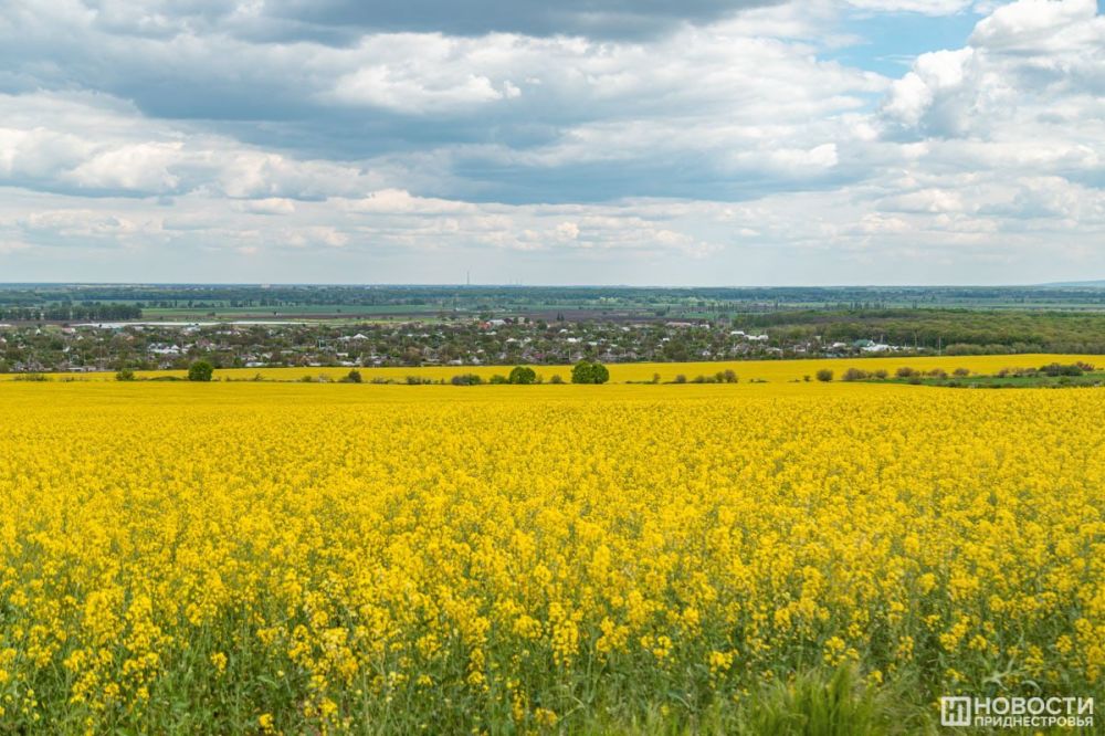 ����� ���� ������ ����� �� ����� 500 ������ �� ����� �����