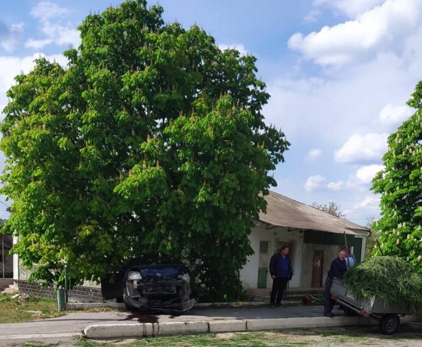 ������ � ��������� ���� ������