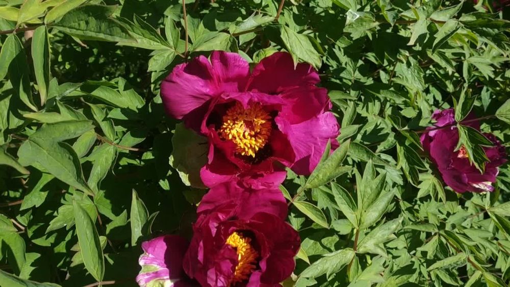 ������� ������ �� 11 ���. 23 �