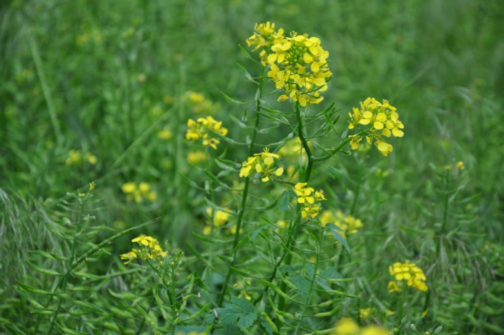 ������������������ � ��������!