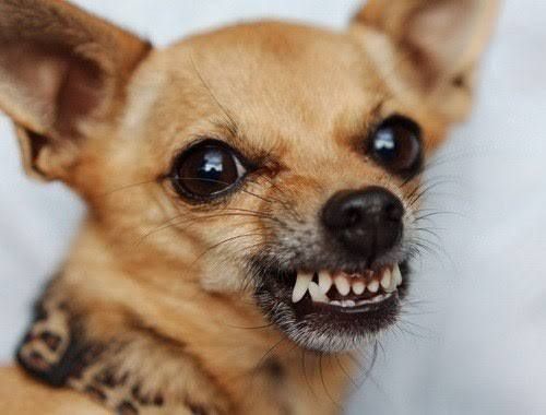 � ������������� � ������� ���� � ������� ����� � ������ ���������� 1326 �������