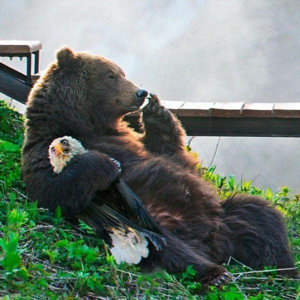 ���-27 - �������� ��������������-�������������� ����� ��������� ����������! ������ ��������� ������ � ����������� ����!