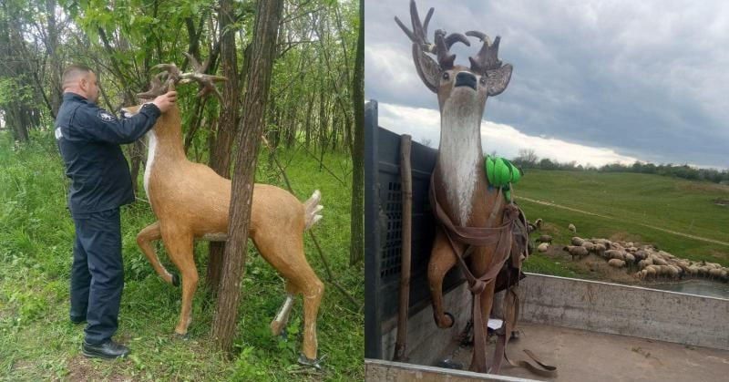 ����� ��������