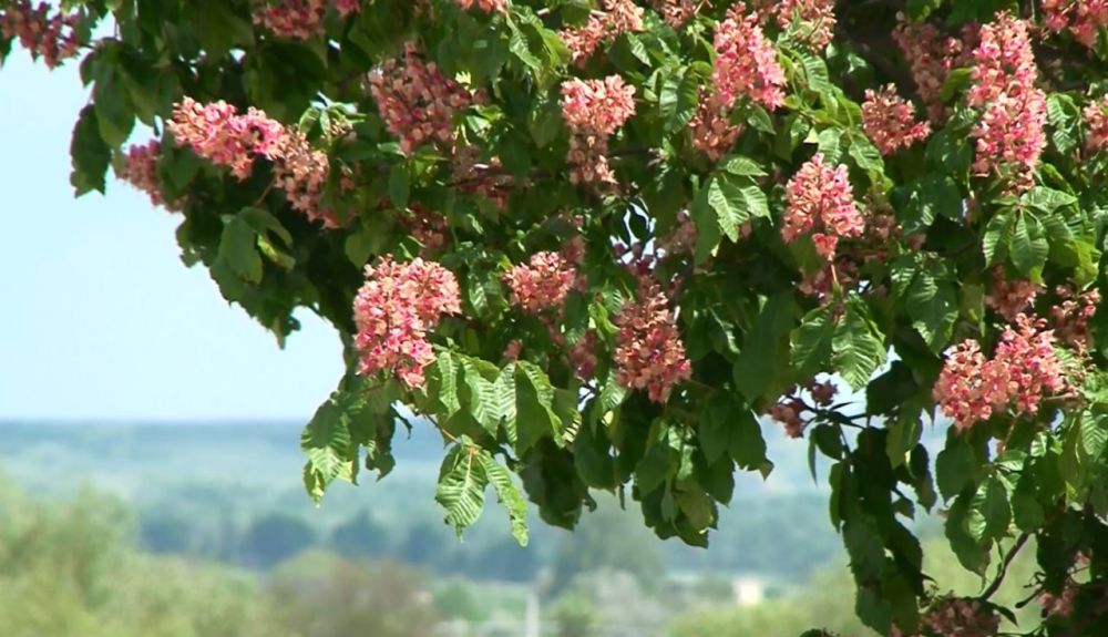 13 ��� ��������� ���������� ����������, ��� �������