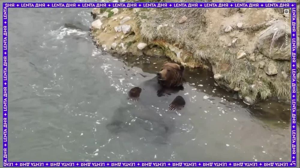 �������� ������ �� ���������� �������� � ����� ��� ����������� �������