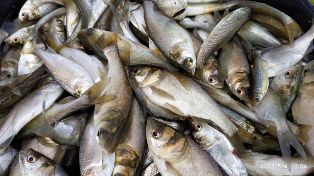 ����� 4 ����� �������� ���� �������� � ���� ������ � ������������ �������������