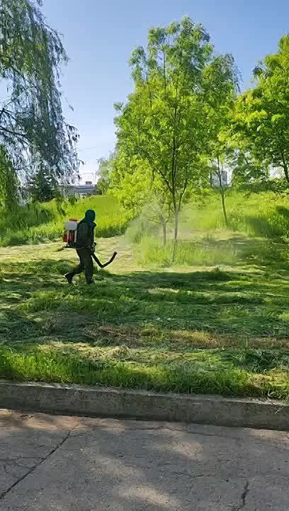 ��� ��� � ����������� � 30-������������ �������� � ���� �������� ���� �� ������ �� ��������� ����� � ��������