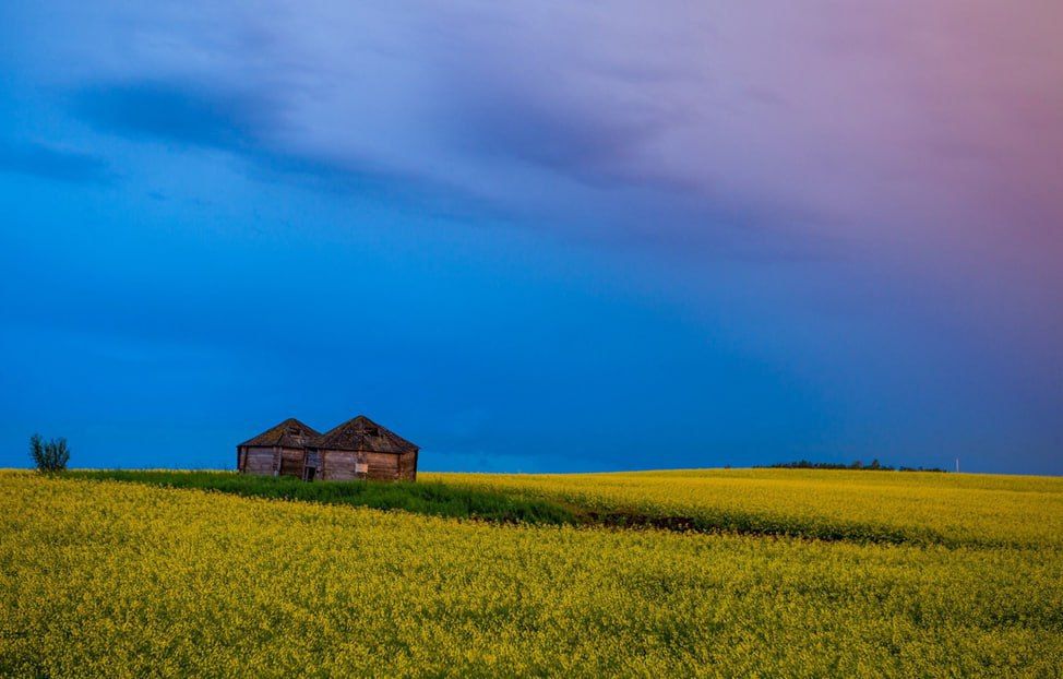 ����� ����. ��� ����� 500 ������ �� ����� �����