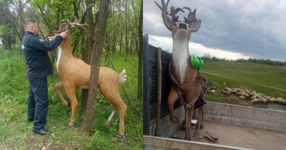 ���������� �����, ������� ������ �� ����������� ���� ��������, �����