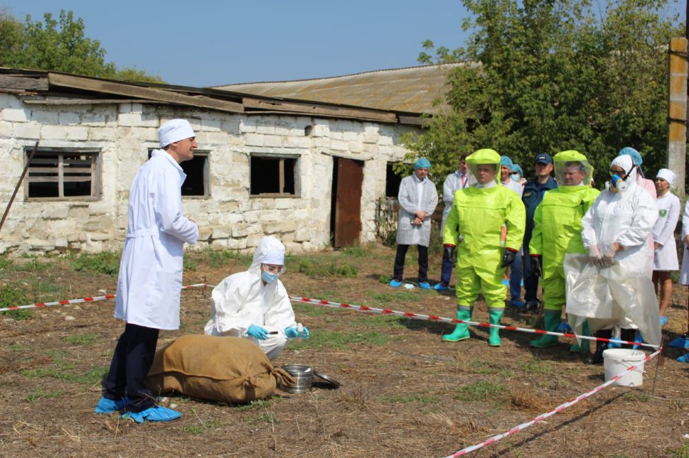 ������ �� ���������� ����������� ����������� ���� ������