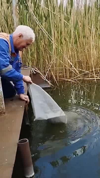 ���������� � ���������� ������� ������� ����������, ������� ��������� ������������ ����� �� 3 ��� ������ �������