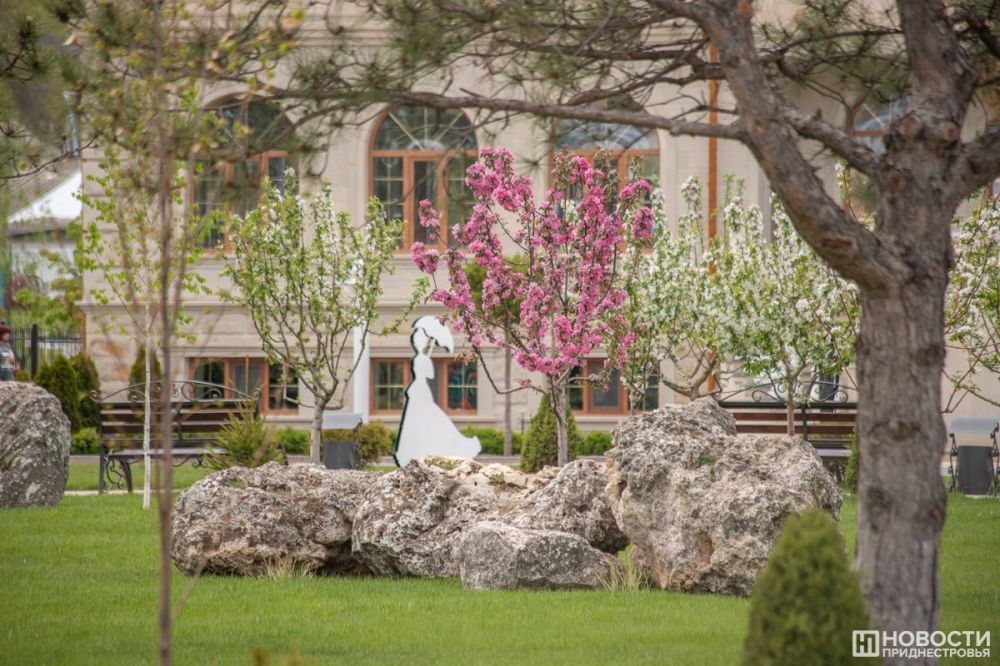 ������ ��� ���� ���������� ��������