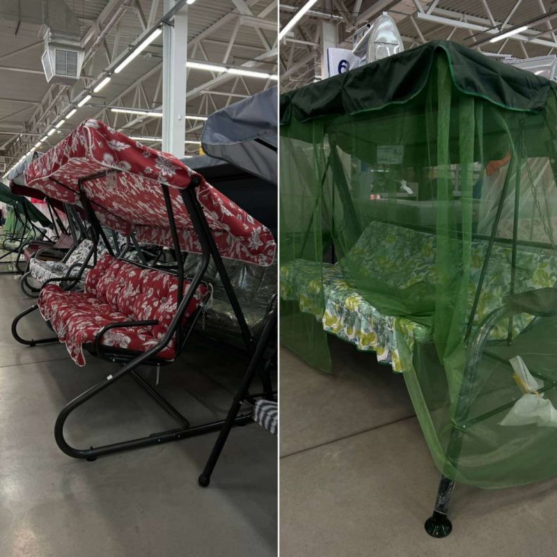 � ���� ���� ����� ������� �������