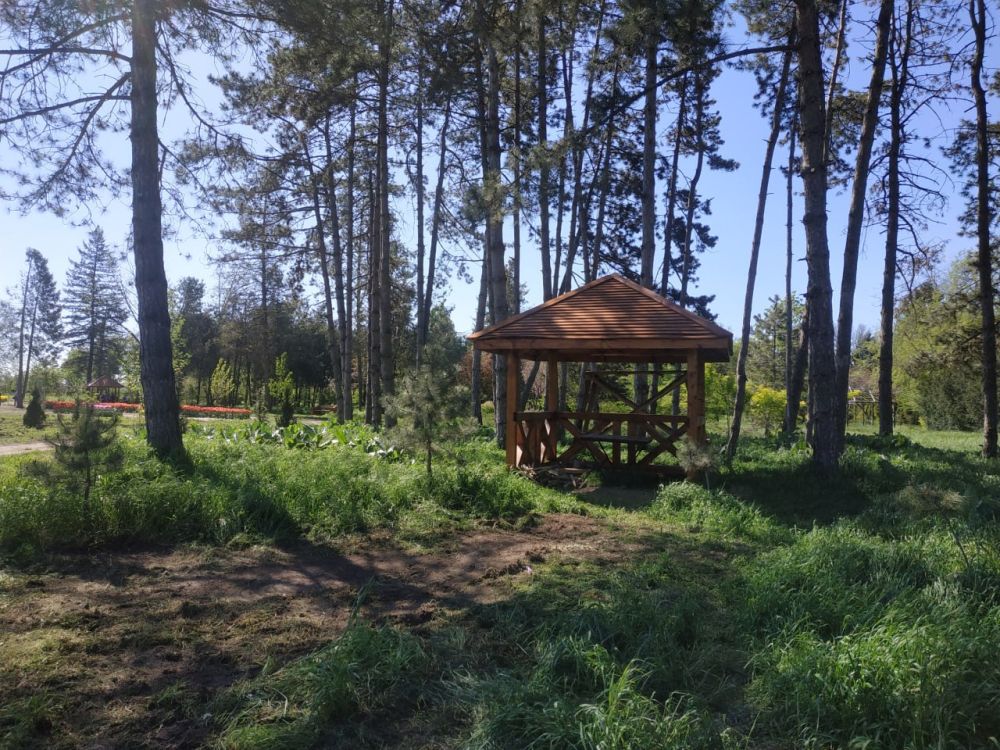 ������ ������ �� �������� ����������� �������������