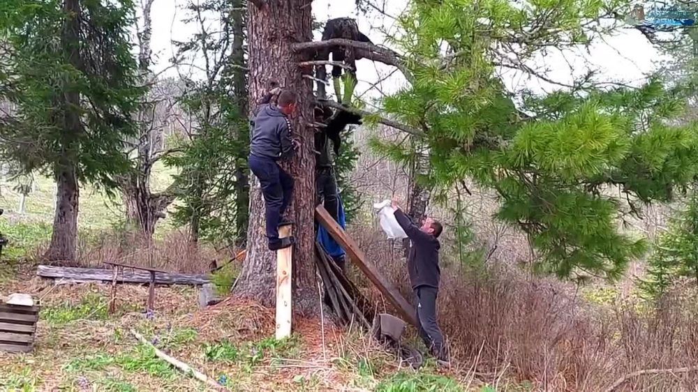 ����������-������ ������ � ��������� ����