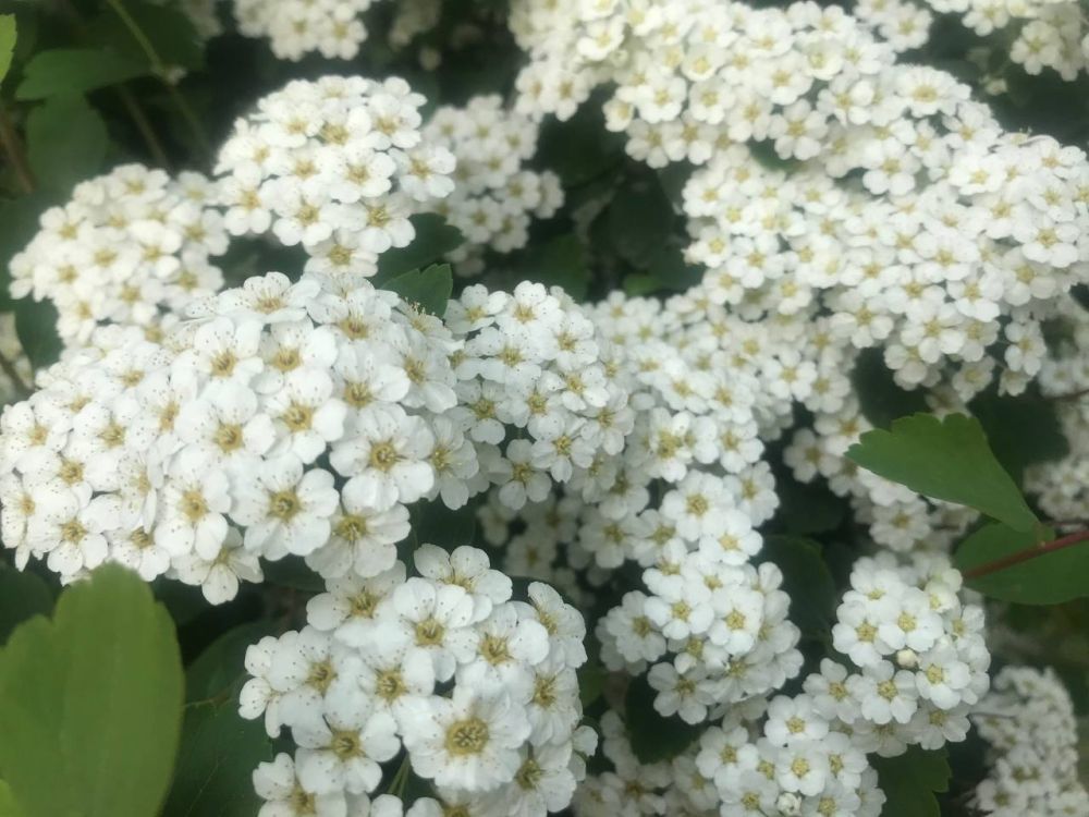 ������� �� ������ � 13 �� 15 ���