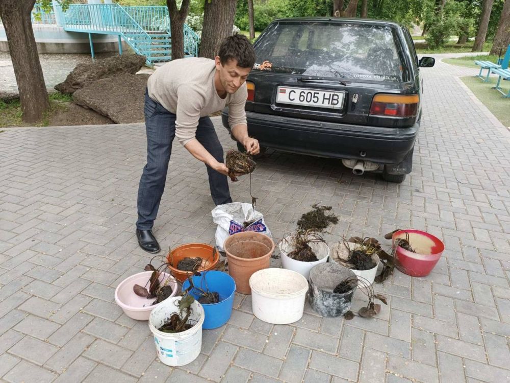 � 80-� ���� ��������� ����� ������ � �������� ���� �� ������ ������, �� � ����� � �����