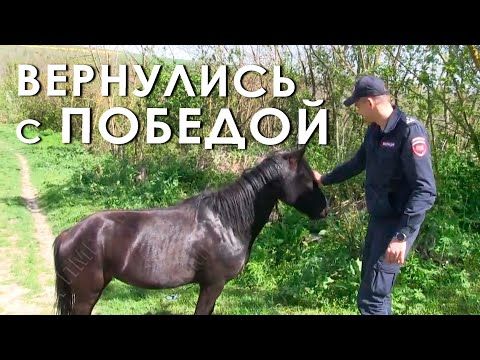 �������� ������, � � ����� ���������� ���������� � ������� ���������� �. ����� ���������� ������. ��� ���������� ����������� �� ������. ������ ��� ���� ��������� � �������