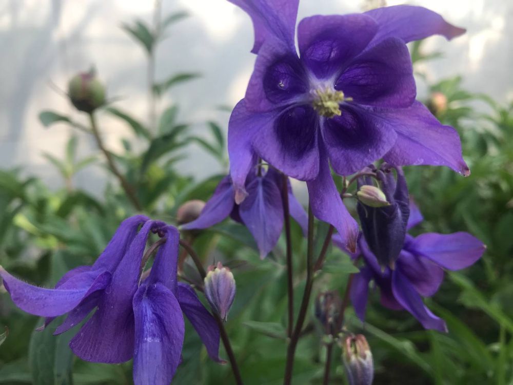 ���� ���������� � � ������, ���� ��������������� �������� � ����� � ����� � � ���������� ��������, � � ������ � ���� ����������� ������ ������